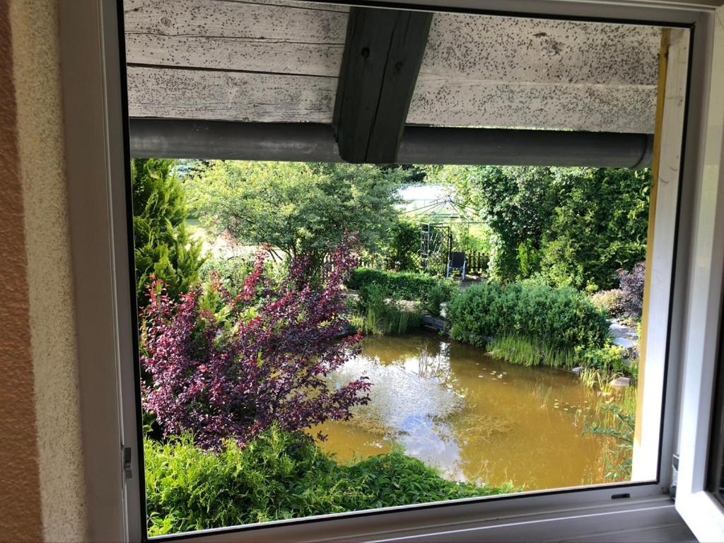Ferienwohnung Zuendholz Benneckenstein Eksteriør bilde